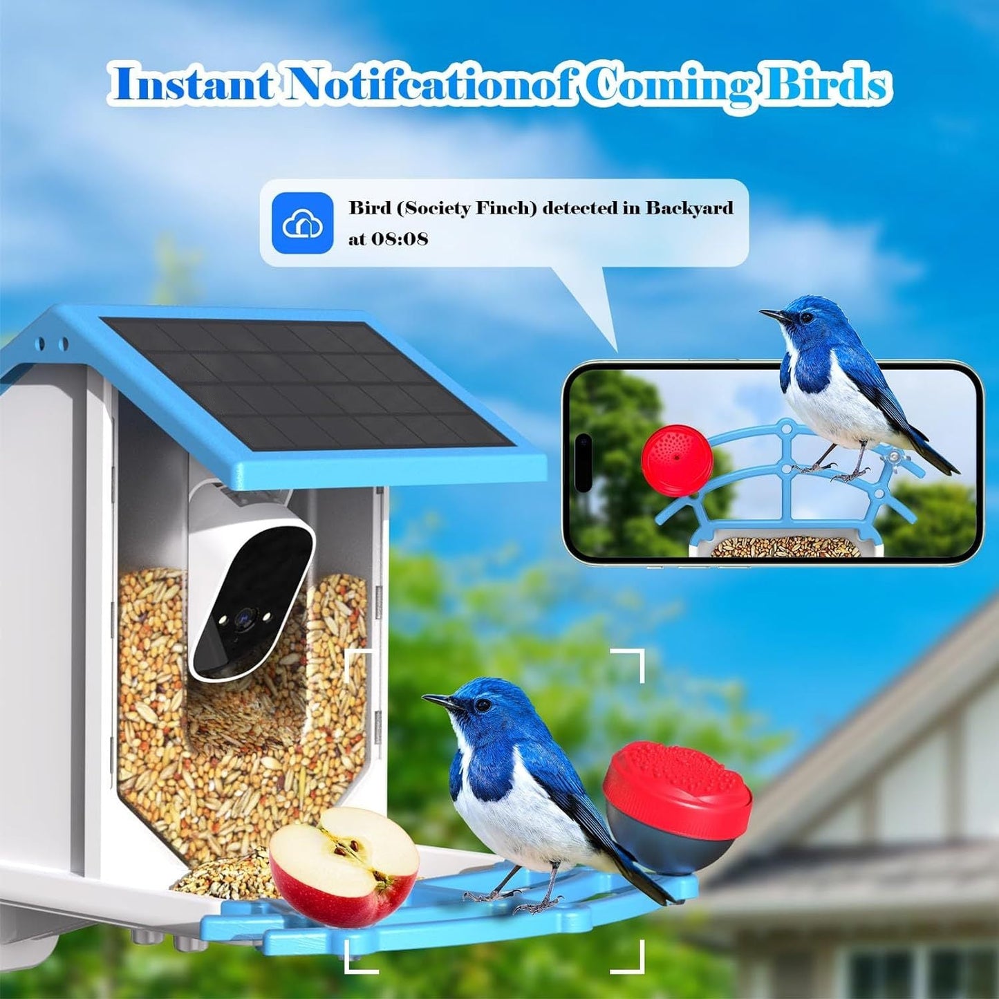 Smart Bird Feeder With Camera,Solar - Powered WiFi 4MP Live Camera,AI Identify Bird Species Auto Capture Garden Bird Watching&Motion Detection,Ideal Gift For Bird Lovers,Blue - Krosscanada