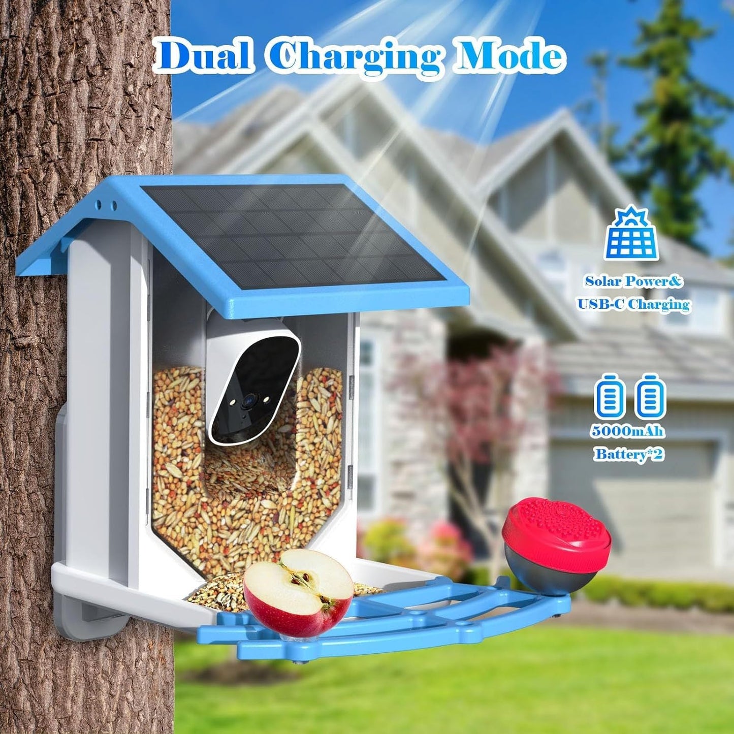 Smart Bird Feeder With Camera,Solar - Powered WiFi 4MP Live Camera,AI Identify Bird Species Auto Capture Garden Bird Watching&Motion Detection,Ideal Gift For Bird Lovers,Blue - Krosscanada