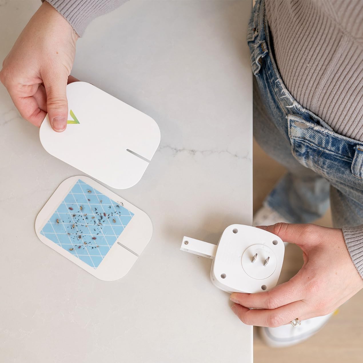 VEYOFLY Gnat Attracts for House, Fly Attract, Fruit Fly Attract, Fly Catcher, Plug in Catch for Fruit Flies, Moths, Gnats Attract (1 Devices + 3 Refills) - Krosscanada