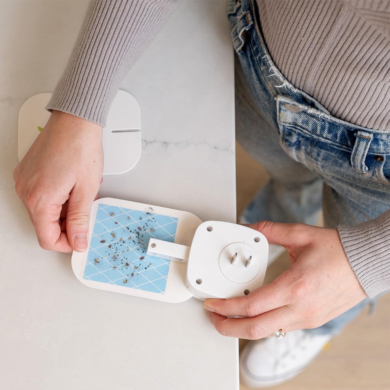VEYOFLY Gnat Attracts for House, Fly Attract, Fruit Fly Attract, Fly Catcher, Plug in Catch for Fruit Flies, Moths, Gnats Attract (1 Devices + 3 Refills) - Krosscanada