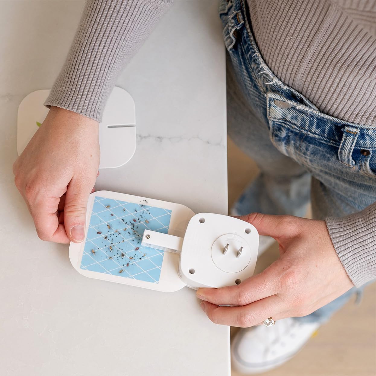 VEYOFLY Gnat Attracts for House, Fly Attract, Fruit Fly Attract, Fly Catcher, Plug in Catch for Fruit Flies, Moths, Gnats Attract (1 Devices + 3 Refills) - Krosscanada