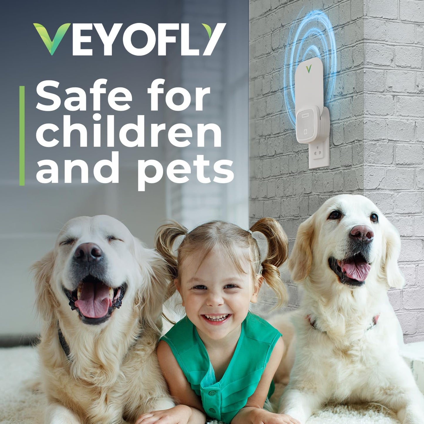 VEYOFLY Gnat Attracts for House, Fly Attract, Fruit Fly Attract, Fly Catcher, Plug in Catch for Fruit Flies, Moths, Gnats Attract (1 Devices + 3 Refills) - Krosscanada