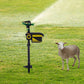 Automatic sensing animal repellent garden sprinkler - KKscollecation