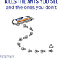 TERRO Ant Killer Liquid Baits T300CAN - Krosscanada