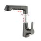 Lifting Cold And Tropical Shower Telescopic Mixing Faucet - KKscollecation