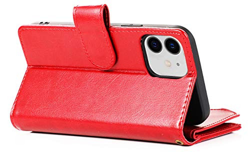 FLYEE Case Compatible with iPhone 12 Pro Max(6.7 inch,2020 Release),Wallet Case for Women and Girls with Card Holder,Detachable 2in1 Case Premium Leather Zipper Flip Case with Wrist Strap-Black - KKscollecation