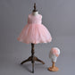 2021 New Winter Dress Dress Baby Baby Full Moon Princess Skirt Dress Shaqun Girls Lotus - KKscollecation