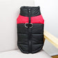 Dog vest - KKscollecation
