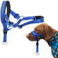 Anti Barking Anti Bite And Explosion Proof Pet Nylon Muzzle - Krosscanada