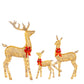 Christmas Deer Lighting Happy New Year - Krosscanada