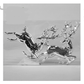Christmas Ornaments Cute Gifts Reindeer Balls Stars Gingerbread Man Christmas Pendant Ornaments Charm - Krosscanada