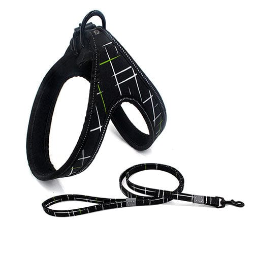 Colorful Dog Leash Dog Walking Rope Small And Medium - sized Dog Explosion - proof Dog Chain - Krosscanada