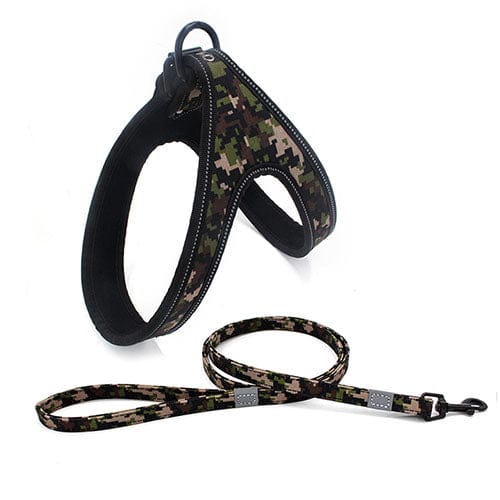 Colorful Dog Leash Dog Walking Rope Small And Medium - sized Dog Explosion - proof Dog Chain - Krosscanada