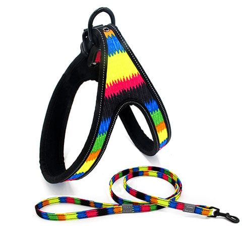 Colorful Dog Leash Dog Walking Rope Small And Medium - sized Dog Explosion - proof Dog Chain - Krosscanada