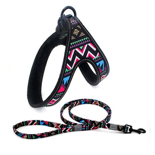 Colorful Dog Leash Dog Walking Rope Small And Medium - sized Dog Explosion - proof Dog Chain - Krosscanada