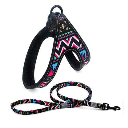Colorful Dog Leash Dog Walking Rope Small And Medium - sized Dog Explosion - proof Dog Chain - Krosscanada