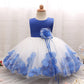 Girl dress, baby princess dress dress, petal full moon baby skirt - Krosscanada