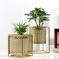 Gold Etched Metal Flower Pot - Krosscanada
