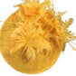 Horse Racing Festival Fashion High - End Top Hat Hair Accessories Aristocratic Ladies Feather Hat Hair Accessories Hairpin - Krosscanada