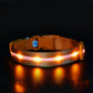 Luminous collar night pet USB charging - Krosscanada