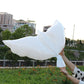 peace pigeon aluminum film balloon - Krosscanada