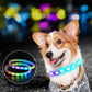 USB Rechargeable Pet Dog LED Glowing Collar Pet Luminous Flashing Necklace Outdoor Walking Dog Night Safety Collar - Krosscanada