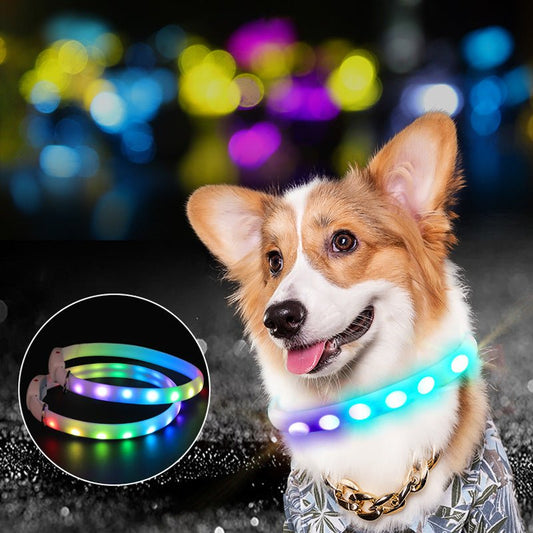 USB Rechargeable Pet Dog LED Glowing Collar Pet Luminous Flashing Necklace Outdoor Walking Dog Night Safety Collar - Krosscanada